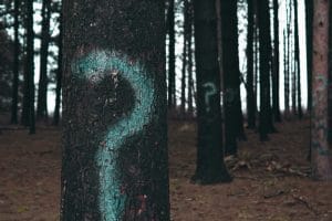 painted question marks on trees